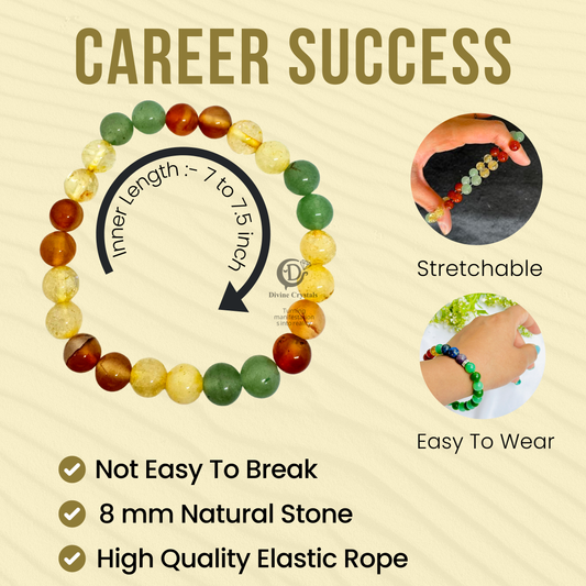 Career Success